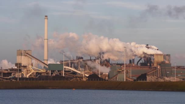 Factory Tata Steel Smoking Chimneys Sunny Evening Ijmuiden Netherlands — Stock Video