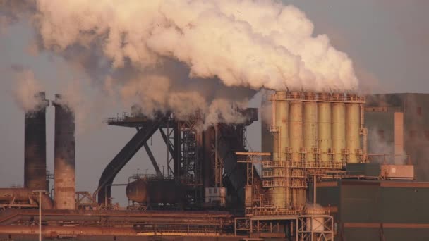 Factory Tata Stål Med Rygende Skorstene Solrig Aften Ijmuiden Holland – Stock-video