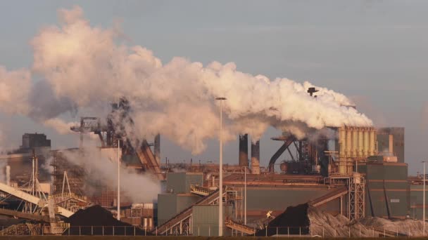 Factory Tata Steel Met Rookschoorstenen Zonnige Avond Ijmuiden Nederland — Stockvideo