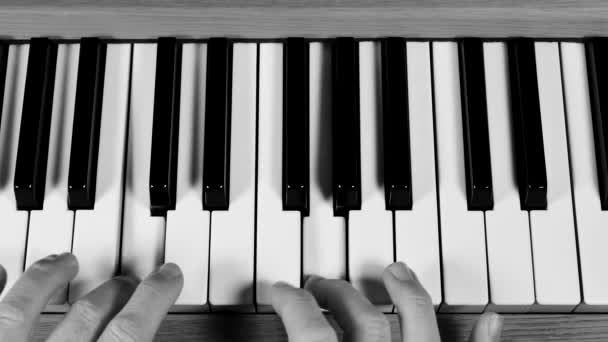 Крупным Планом Человек Играет Пианино Подсветкой — стоковое видео