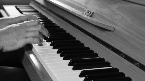 Närbilder Mannen Som Spelar Piano Med Bakgrundsbelysning — Stockvideo