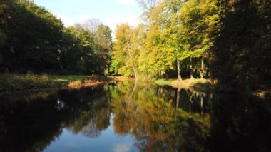 Sonbahar ormanı 'Corversbos' un manzaralı görüntüleri ve Hollanda 'da Hilversum adında bir kentin kıyısında.