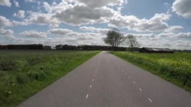 POV Hollanda polen manzarasında Country Road 'da geriye doğru gidiyor