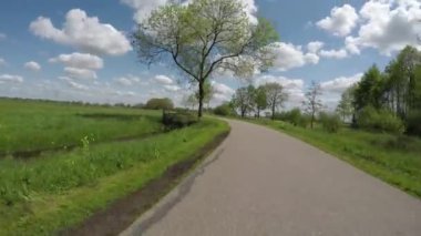 POV Hollanda polen manzarasında Country Road 'da geriye doğru gidiyor