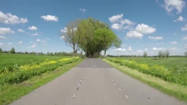 Pov Conduire Reculons Sur Route Campagne Dans Paysage Polder Néerlandais — Video