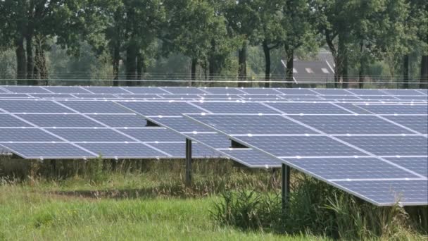 Paneles Solares Que Generan Electricidad Prado — Vídeos de Stock