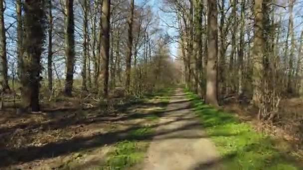 Pov Bicicletta Attraverso Strada Forestale — Video Stock