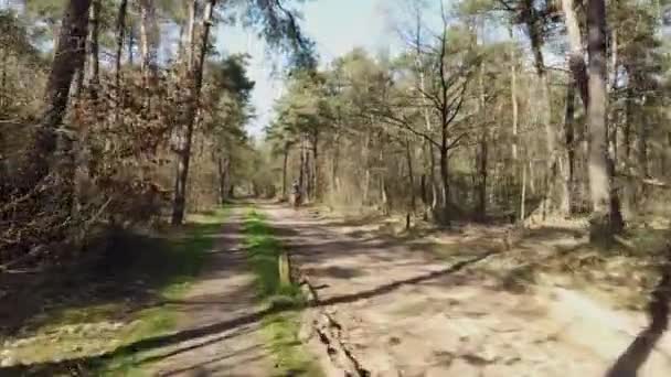 Pov Ciclismo Través Del Camino Forestal — Vídeo de stock