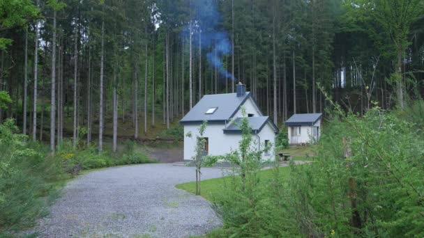 Szenische Aufnahmen Von Schönen Haus Wald Niederlande — Stockvideo