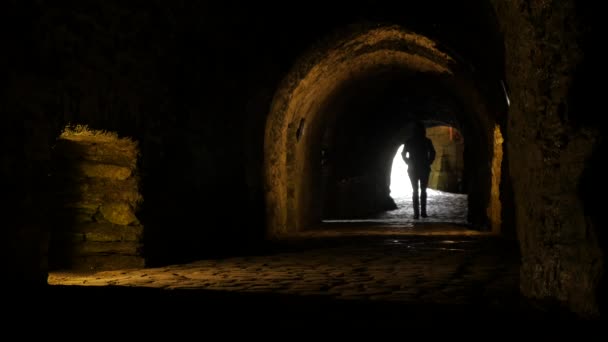Footage Person Walking Tunnel Ancient Castle Stock Video