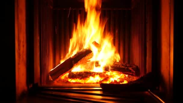 Close Footage Burning Logs Fireplace — Stock Video