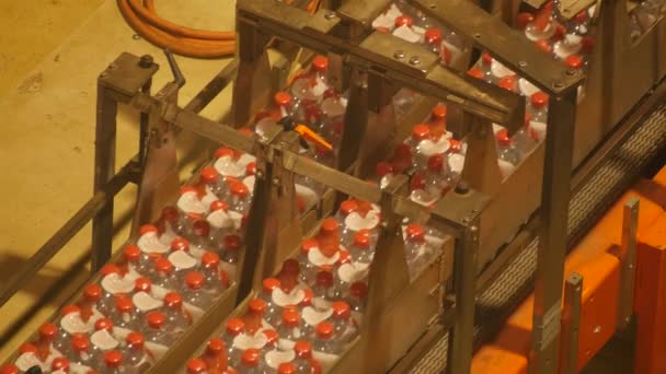 Muovipullot Liukuhihnalla Juomavesitehtaassa — kuvapankkivideo