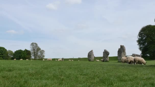 Stone Ympyrä Avebury Neoliittinen Henge Muistomerkki Unescon Maailmanperintökohde Wiltshire Englanti — kuvapankkivideo