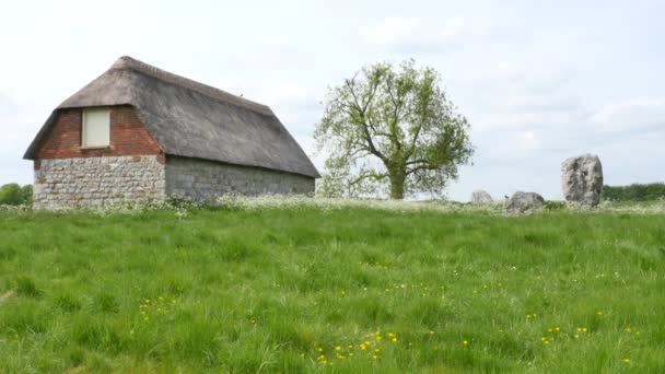 Círculo Piedra Avebury Monumento Henge Neolítico Patrimonio Humanidad Unesco Wiltshire — Vídeo de stock