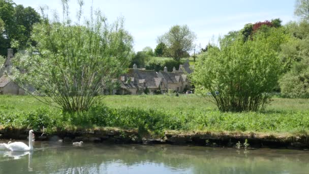 Bibury Kylä Seurakunta Gloucestershiressä Englannissa Molemmilla Joen Coln Joka Nousee — kuvapankkivideo