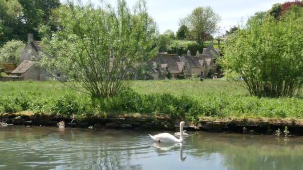 Bibury Wieś Anglii Hrabstwie Gloucestershire Znajduje Się Obu Brzegach Rzeki — Wideo stockowe