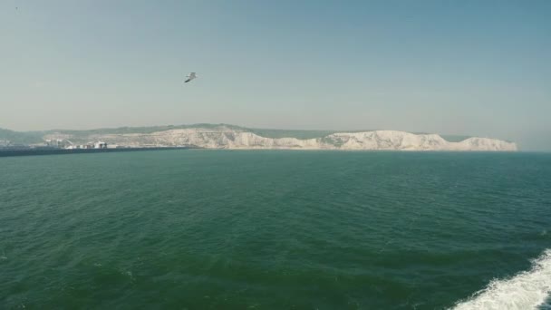 Dover Cliffs Kuvattiin Lautalta Lokit Lentäen Veneen Takana — kuvapankkivideo