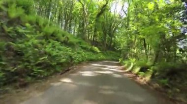 Dunkery Tepesi 'nin zirvesindeki Dunkery Beacon Exmoor ve Somerset, İngiltere' deki en yüksek noktadır.