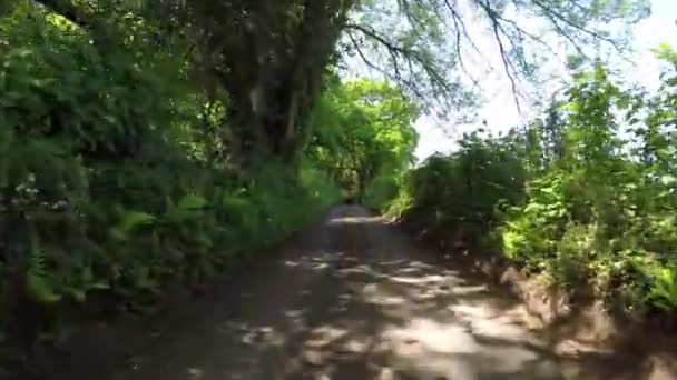 Dunkery Tepesi Nin Zirvesindeki Dunkery Beacon Exmoor Somerset Ngiltere Deki — Stok video