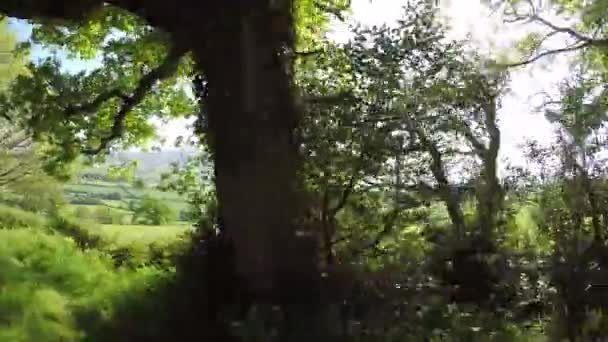 Pov Conduciendo Través Quantock Hills Somerset Inglaterra — Vídeo de stock