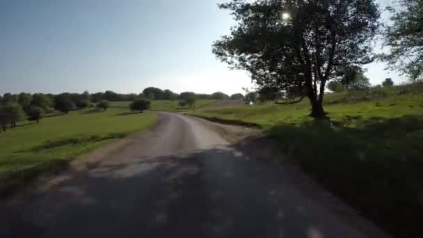 Pov Projíždění Quantock Hills Anglii Ovce Silnici — Stock video