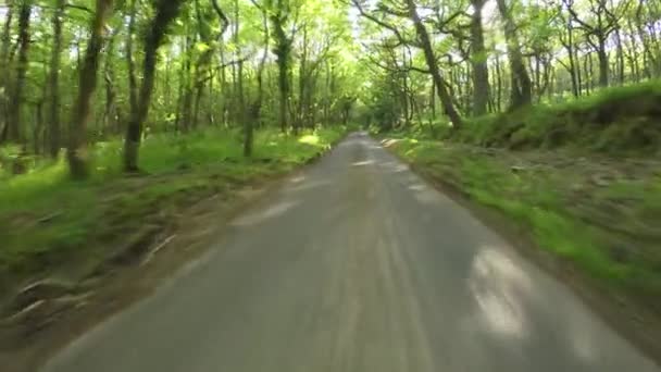 Pov Conduciendo Través Quantock Hills Somerset Inglaterra — Vídeos de Stock