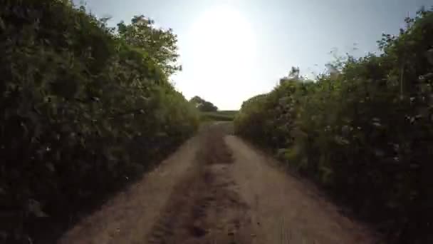 Pov Ajaa Läpi Exmoor National Park Somerset Tiet Englannissa Kamera — kuvapankkivideo