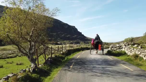Jaunting Cars Killarney Gap Dunloe Ring Kerry Irlanti — kuvapankkivideo