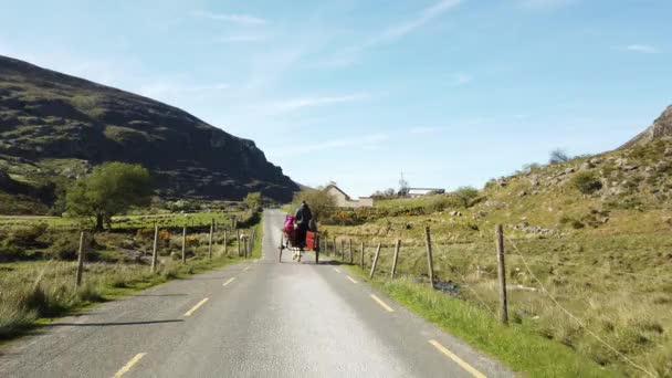 Jaunting Cars Κιλάρνεϊ Στο Gap Dunloe Στο Δαχτυλίδι Του Kerry — Αρχείο Βίντεο
