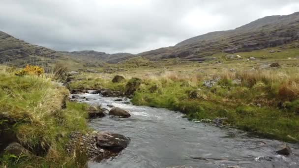 Річка Хілі Пасс Ірландії Поблизу Кільця Керрі — стокове відео