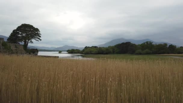 Προβολή Στη Λίμνη Lough Leane Στο Κιλάρνεϊ Στο Ring Kerry — Αρχείο Βίντεο