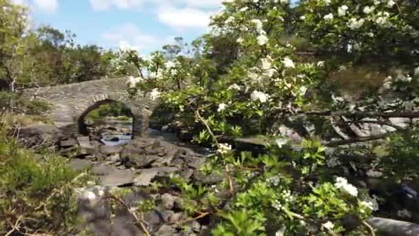 Old Weird Bridge Ancient Bridge Located Killarney National Park County — Stock Video