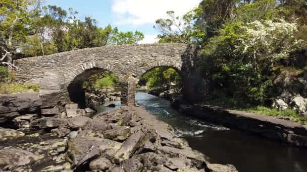 古桥是爱尔兰克里县基拉尼国家公园的一座古桥 — 图库视频影像