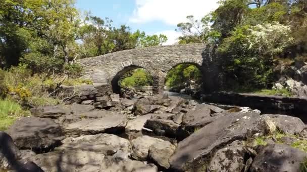 Old Weir Bridge Ikivanha Silta Killarneyn Kansallispuistossa Kerryn Kreivikunnassa Irlannissa — kuvapankkivideo