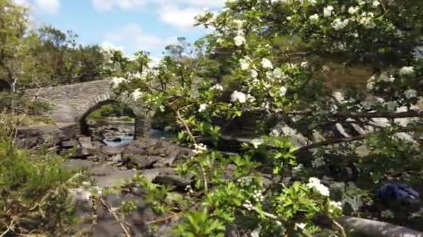 Old Weird Bridge Ancient Bridge Located Killarney National Park County — Stock Video