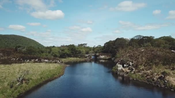 Old Weir Bridge Antiguo Puente Situado Parque Nacional Killarney Condado — Vídeo de stock