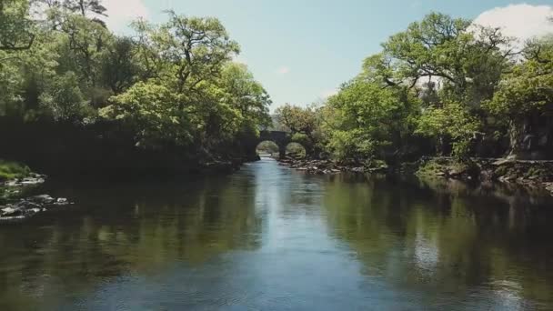 Old Weir Bridge Antico Ponte Situato Nel Killarney National Park — Video Stock