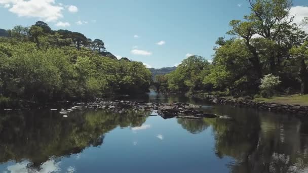 Old Weir Bridge Gammal Bro Som Ligger Killarney National Park — Stockvideo