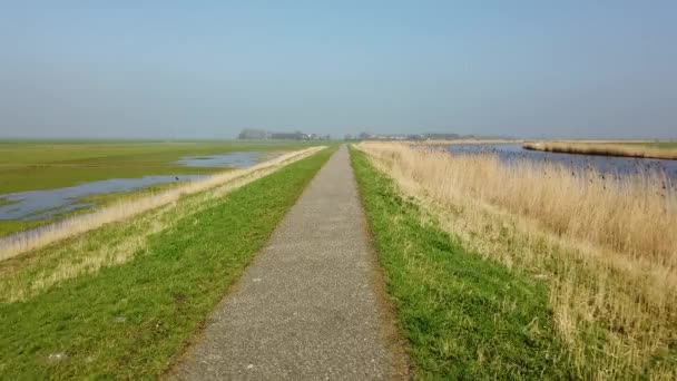 Route de campagne dans le paysage de polder néerlandais au printemps POV