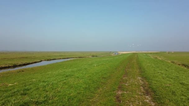 Αγροτικός Δρόμος Στο Ολλανδικό Τοπίο Polder Την Εαρινή Περίοδο Pov — Αρχείο Βίντεο