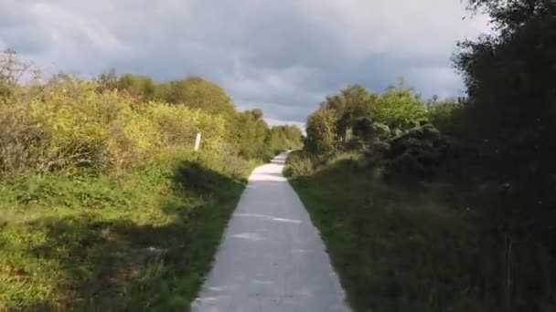 Dike Île Schiermonnikoog Aux Pays Bas Pov Conduite Travers — Video