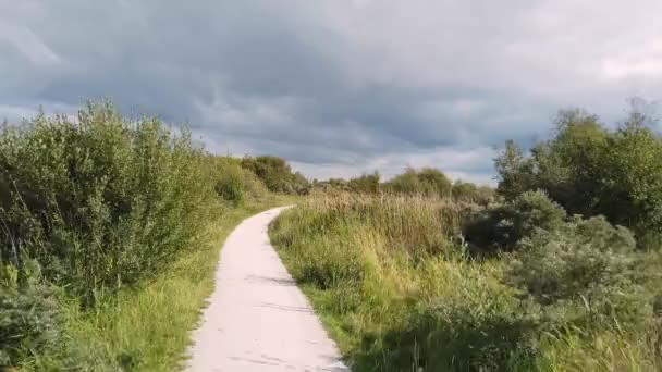 Pov Radfahren Durch Wald Und Moor Bei Schiermonnikoog Den Niederlanden — Stockvideo