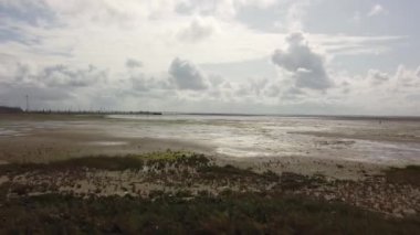 Schiermonnikoog Limanı ve Wadden Denizi alçak gelgitte