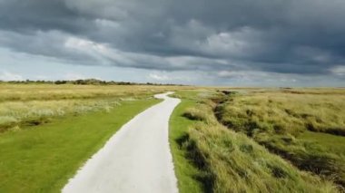 Schiermonnikoog 'da yolda giderken Bataklık yolunda bisiklet yolu