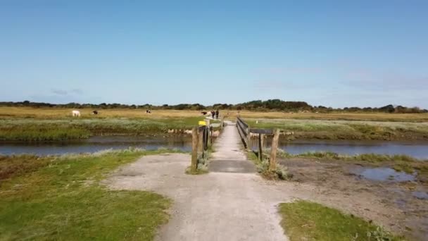 Pista Ciclabile Attraverso Marshland Pov Guida Strada Schiermonnikoog Paesi Bassi — Video Stock