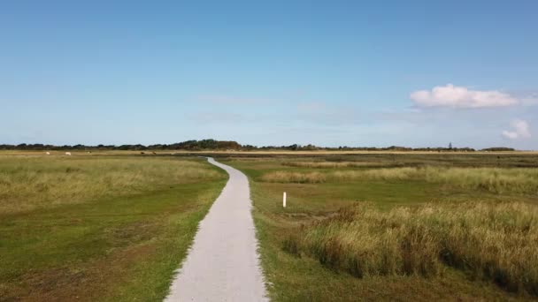 Ścieżka Rowerowa Przez Marshland Pov Jazdy Drogowej Schiermonnikoog Holandia — Wideo stockowe