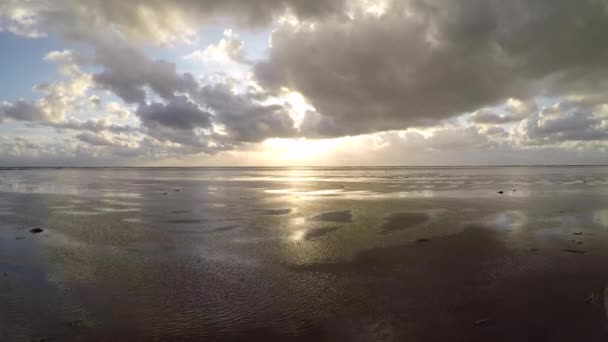 Dramatische Himmels Und Wasserspiegelungen Wattenmeerstrand Von Schiermonnikoog Niederlande — Stockvideo