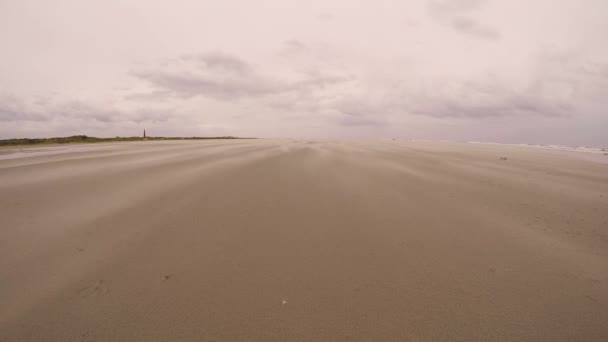 Homokvihar Hollandiai Schiermonnikoog Strandon — Stock videók