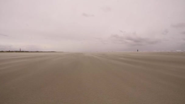 Αμμοθύελλα Στην Παραλία Schiermonnikoog Στην Ολλανδία — Αρχείο Βίντεο