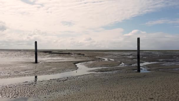 Polacchi Con Bassa Marea Mare Wadden Paesi Bassi Schiermonnikoog — Video Stock